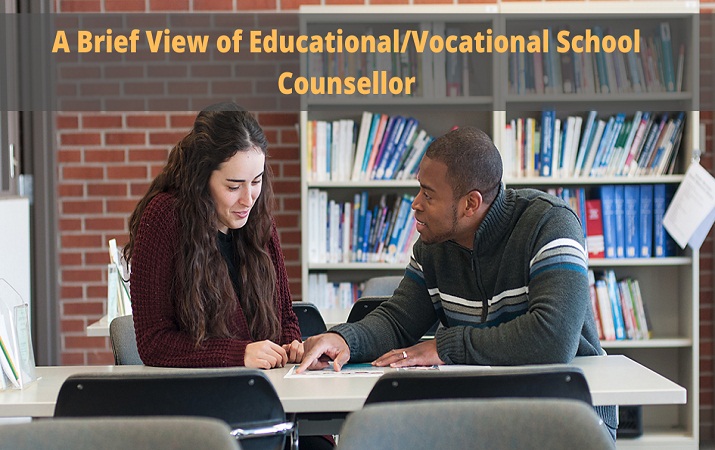 A Brief View of Educational Vocational School Counsellor 1